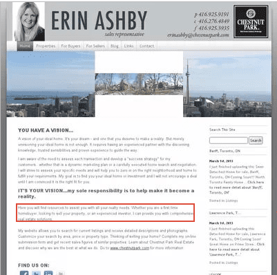 Erin_Ashby_Website_Before
